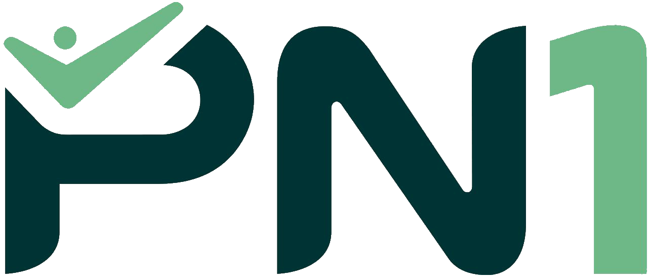 PN1Daily logo